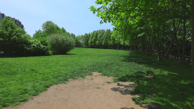 NEW YORK, NEW YORK - USA MAY 15: Row of growing fresh green trees surround the lawn during springtime at Brooklyn Bridge Park in New York City on May 15, 2023. Brooklyn Bridge stands behind lawn.
