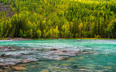 Scenery of Kanas Scenic Area in Altay Region, Xinjiang, China