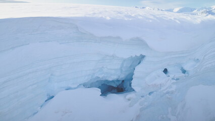 Blue ice cave in white glacier on Antarctic Peninsula. Aerial close-up. Antarctica panoramic drone flight view. Snow among polar ice. Cave in iceberg around frozen water. Permafrost. Antarctic