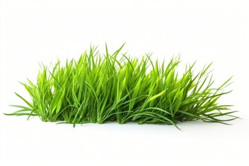 Obraz premium Fresh green grass lawn flower plant white background tranquility.