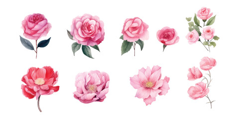 Naklejka premium Water color flowers are suitable for wedding invitation elements