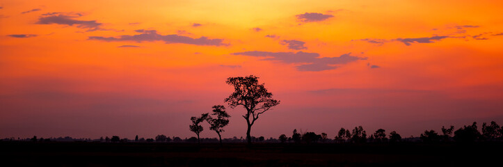 Silhouette tree with sunset.Tree silhouetted against a setting sun.Beautiful clouds,Sunlight with...