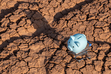 A piggy bank in a miniature shopping cart against a background of heat-cracked clay in the desert