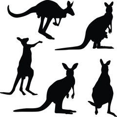 kangaroo vector silhouettes illustration in different pose