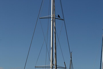 Masts in the port against the blue sky.