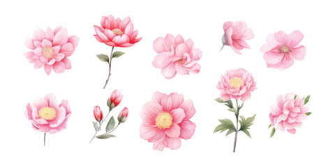 Water color flowers are suitable for wedding invitation elements