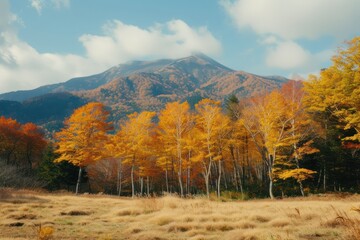 Autumn trees line landscape mountain outdoors.