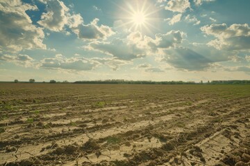 Vast Barren Farmland Under a Scorching Sun With Dramatic Sky in a Draught Season