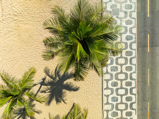 Aerial top down view of palm trees on Ipanema Beach with famous mosaic boardwalk	