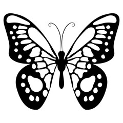 Butterfly Silhouette