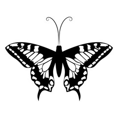Butterfly Silhouette