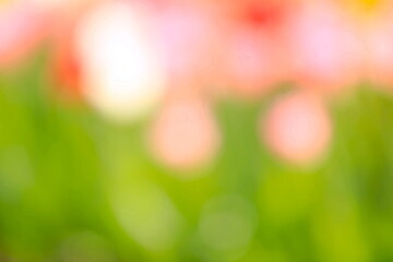 Obraz premium 春の彩りをイメージした背景