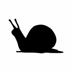 black silhouette of a walking snail © Kuldi