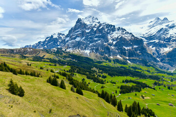 Beautiful landscape alpine view in summer mountains around Grindelwald, Switzerland