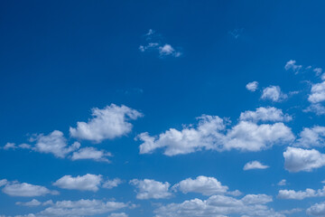 Obraz premium white clouds in the blue sky. cumulus.