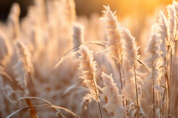 Fototapeta premium a close up of a plant