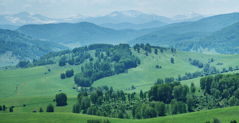 View of mountains in spring, greenery of forests and meadows
