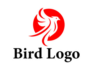 Bird logo design vector collection