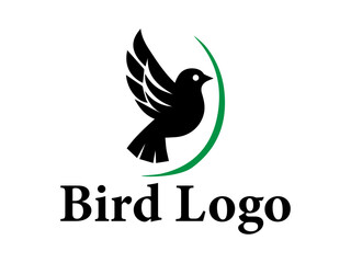 Fototapeta premium Bird logo design vector collection