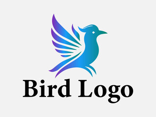 Bird logo collectiom design