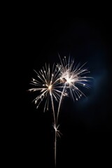 Obraz premium fireworks in the sky