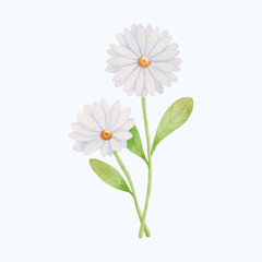 Hand-Drawn Blooming Flower - Spring Flower Illustration