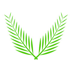 A pair of green palm leaves crossed over each other, symbolizing tropical beauty and natures abundance, on a white background