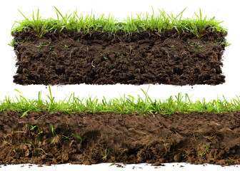 set of green grass with soil mud on transparent background