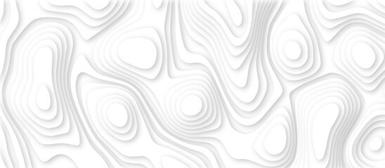 Abstract White paper cut background with lines.3d realistic papercut decoration textured with wavy layers. modern wallpaper texture and 3d realistic design use for banner flyers, posters.	