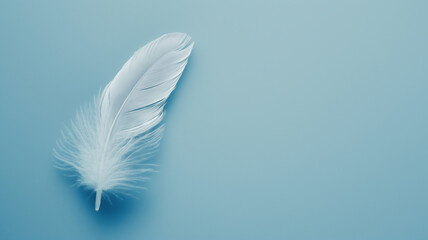 Single white feather on a light blue background, symbolizing lightness and purity.