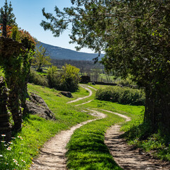 Country road driving along a green pasture in an idyllic setting, Guadalajara, Spain.