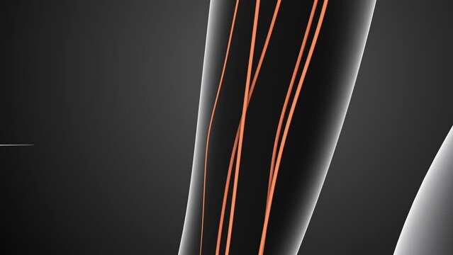 Nerves send signals from the spinal cord to the brain
