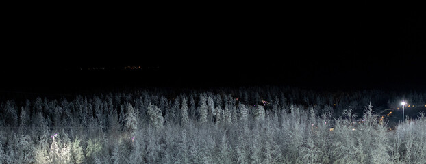 Top of forest with high pine trees covered with snow in the dark. Black night winter view. Banner...