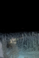 Top of forest with high pine trees covered with snow in the dark. Black night winter view. Vertical beautiful photo