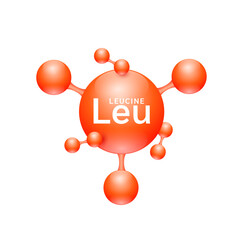 Leucine amino acid. Molecules that combine to form proteins nutrients necessary for health muscle. Biomolecules model 3D red for ads dietary supplements. Medical scientific concepts. Vector.