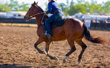 Rider on horseback competing at a campdraft event at a country rodeo in Australia