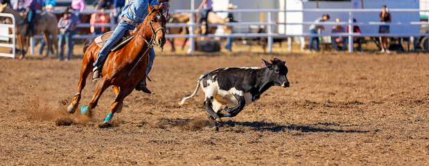 Riders in a calf roping event at a country rodeo in Australia