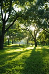 Fototapeta na wymiar Sunlit green meadow with trees in a park setting