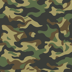 
modern camouflage pattern, seamless background, classic texture