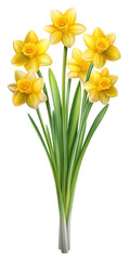 Beautiful Daffodil Plant flowers, Floral plants with blue blooms, PNG transparent image, AI generative.