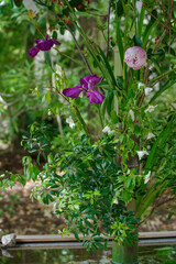 東京赤坂の氷川神社にある手水舎の生け花