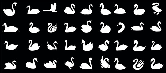 Swan silhouette in diverse poses, white swan vector clipart on black backdrop © Arafat