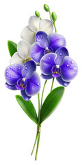 Beautiful blue Orchid flowers, Floral plants with blue blooms, PNG transparent image, AI generative.