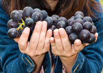 Close-up of a woman holding grapes in her hands.