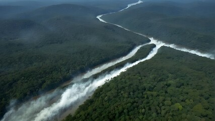 falls from the top