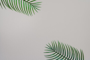 minimal flat lay summer time concept with palm and tropical leaf tree on isolated white background and copy space