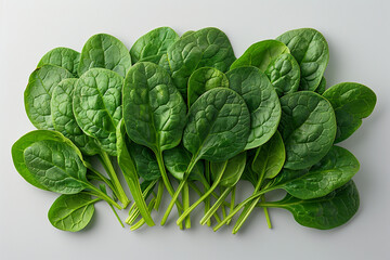 A bunch of vibrant green spinach leaves, their delicate texture contrasting beautifully with the bright backdrop, offering nutrient-rich goodness and versatile culinary uses.