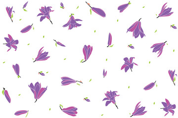 Illustration pattern of Verbanica Saucer Magnolia flower are bloomingwith leaf on white background.