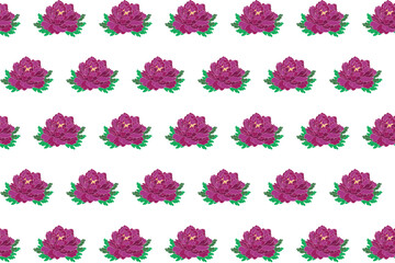 Illustration of deep pink peony flower bouquet on white background.