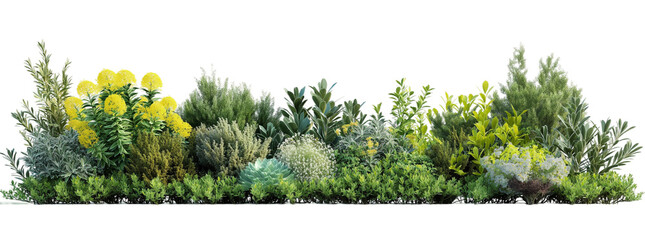 various types of shrubs transparent background PNG